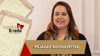 Explica Direito Filiação Socioafetiva  2019 [upl. by Attebasile]