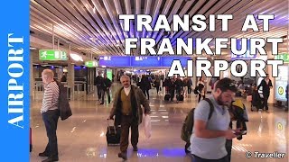 TRANSIT WALK AT FRANKFURT Airport FRA Terminal 1  Connection Flight Transfer Arriving amp Departing [upl. by Ahcsas631]